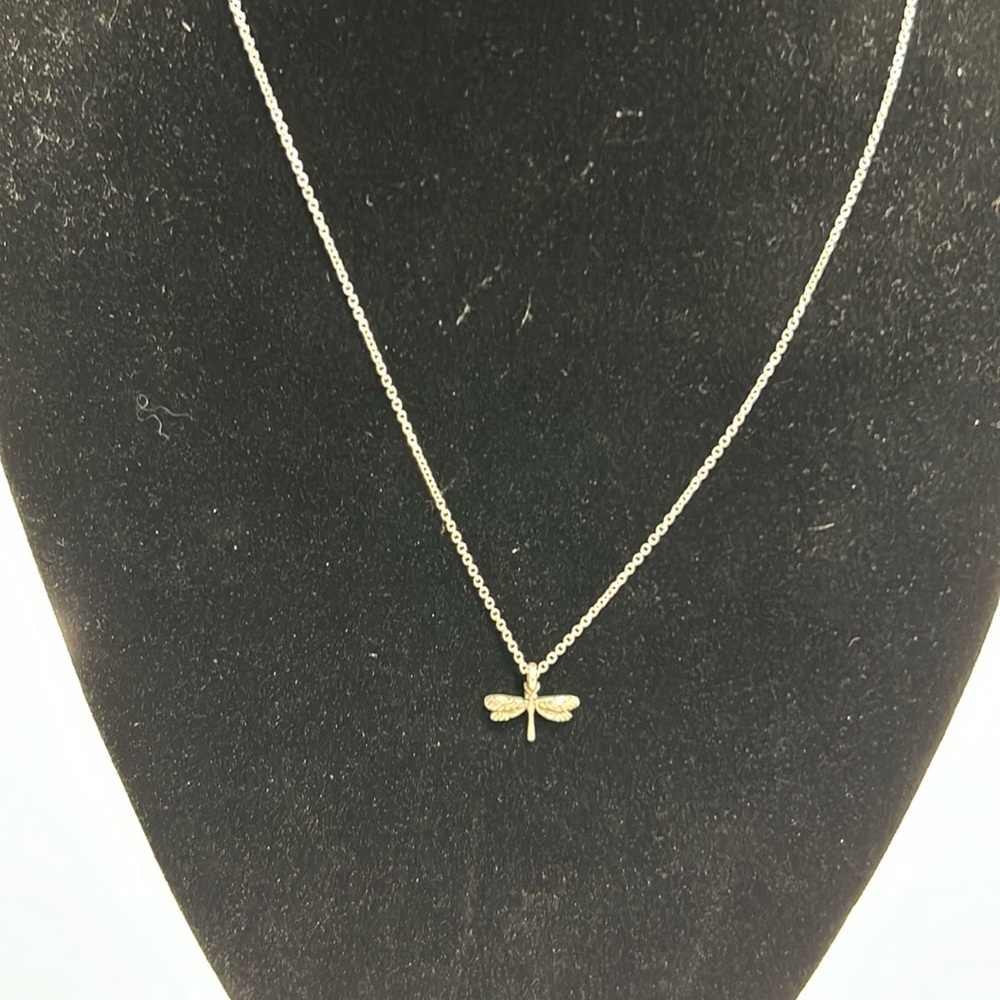 Beautiful dragonfly pendant necklace.